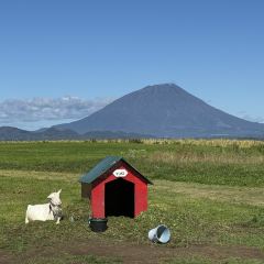 Lake Hill Farm User Photo