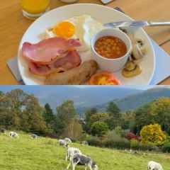 Treeby & Bolton Café User Photo