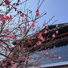 桃咖啡馆 User Photo