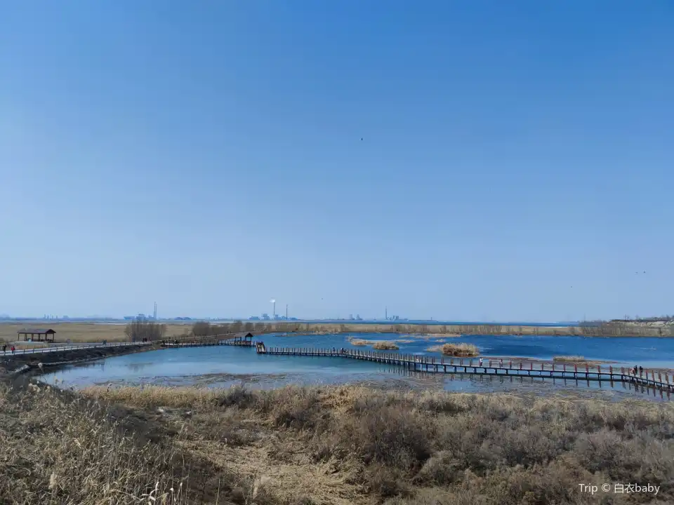 ma na si xian guo jia shi di gong yuan yan fei tai jing qu
