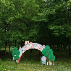 SOYA素晏咖啡(南山店) User Photo