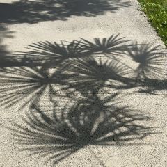南泊湾红房子生态庄园(二环路店) User Photo