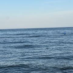 Shan Hai Guan Hun Guo User Photo