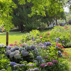 蠡園飯店·土菜專門店(蠡園總店)張用戶圖片