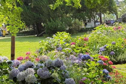 蠡園飯店·土菜專門店(蠡園總店)