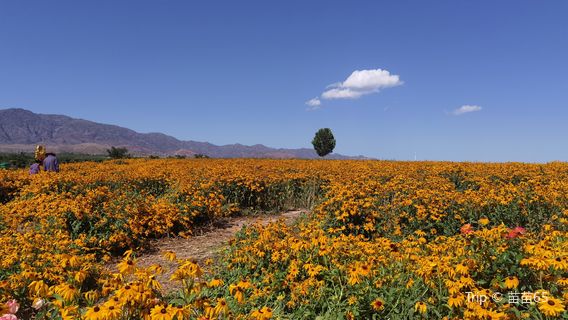 tian shan hua hai wan mu xun yi cao zhuang yuan