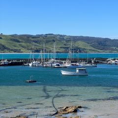 Apollo Bay Fishermen's Co-Op User Photo