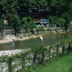 青城山春山外精品汤屋度假酒店·大堂吧 User Photo