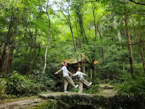 天目山上客堂禅意酒店养心斋素餐厅