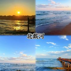 九号咖啡 User Photo