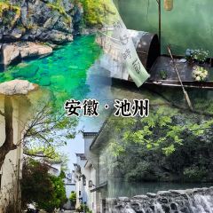 公园和尚豆干面 User Photo