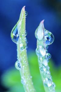 M57156**** ホテルメトロポリタン東京池袋 クーポン