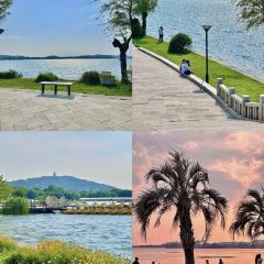 半两·咖啡书店·浮生是杯酒 User Photo