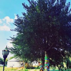 Happy Lamb Hot Pot User Photo