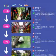 Panda Family User Photo