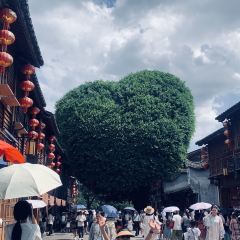 CUI JIANG User Photo