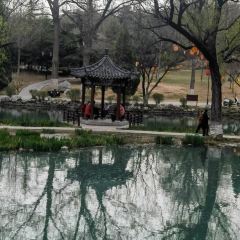 老街印象張用戶圖片