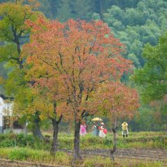 Sage Hall Homestay User Photo