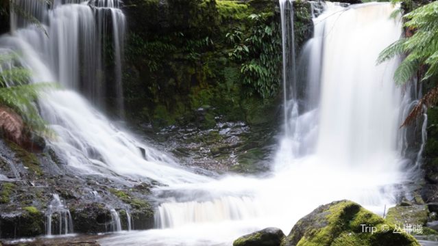 Mount Field Visitor Centre