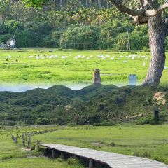 PAN XIAN SHENG HAI XIAN CHENG User Photo
