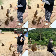 徐福记湛江烤生蚝 User Photo