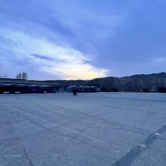 杨老七羊肉粉汤のユーザー投稿写真