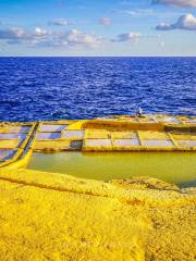 Salt Pans