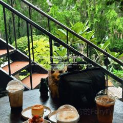 ThaiWan-Thai灣(ไทยหวัน) User Photo