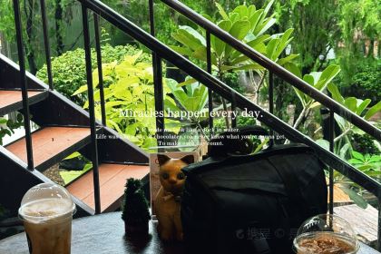 ThaiWan-Thai灣(ไทยหวัน)