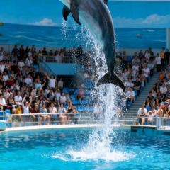 海鲜大咖(杏林西区店) User Photo