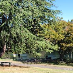 Hayes Common User Photo