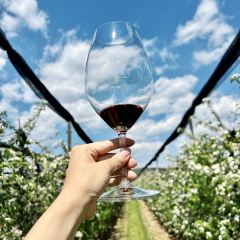 Vinarija Deurić 여행 사진
