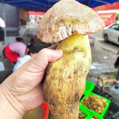 Near No.301 Provincial Road ảnh của người dùng