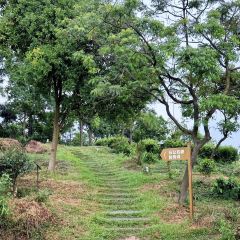 茶山天然居 User Photo