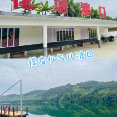 广远杏花鸡山庄 User Photo