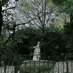 江大小后街張用戶圖片