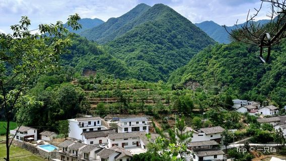 lu chai shan ji · yu wan yi gu du jia she qu