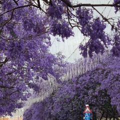 The Dabbab Walkway User Photo