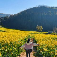 抚仙湖·自在汐岸咖啡餐吧 User Photo