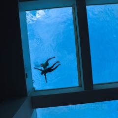 三亚1 Hotel 海棠湾阳光壹酒店·壹厨·西餐厅 User Photo