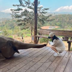 Elefin Farm & Cafe เอเลฟิน ฟาร์ม แอนด์ คาเฟ่ User Photo