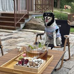 无隐民宿·奇思妙想营 User Photo