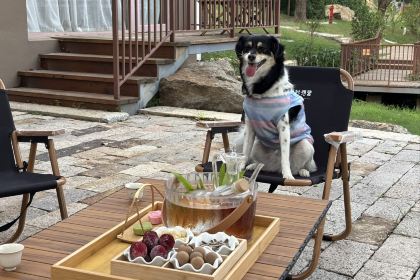 无隐民宿·奇思妙想营