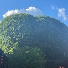 ITEAMO mix User Photo