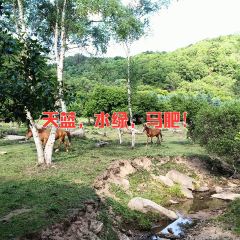 张家川回族风情园 User Photo