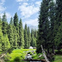 Shagou (miaopude) bishushanzhuang User Photo