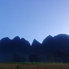 xin gui chu User Photo