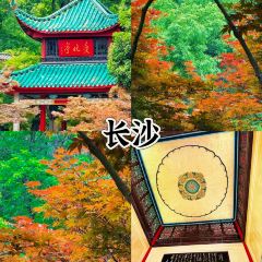 LONG LIN LU DI YI GU NIU ROU SHANG User Photo