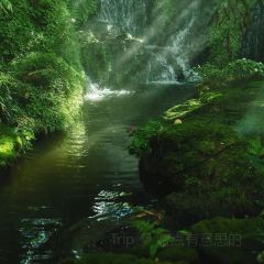 霞客食府張用戶圖片