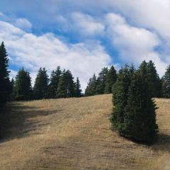 六月瓣咖啡 User Photo